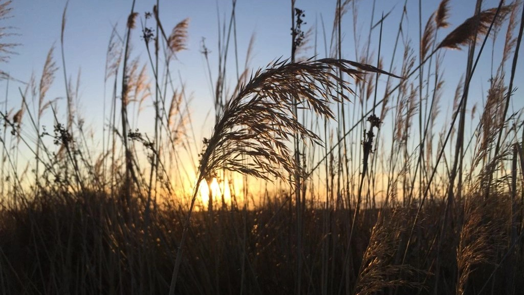 Keeping your wellbeing in check during busy times